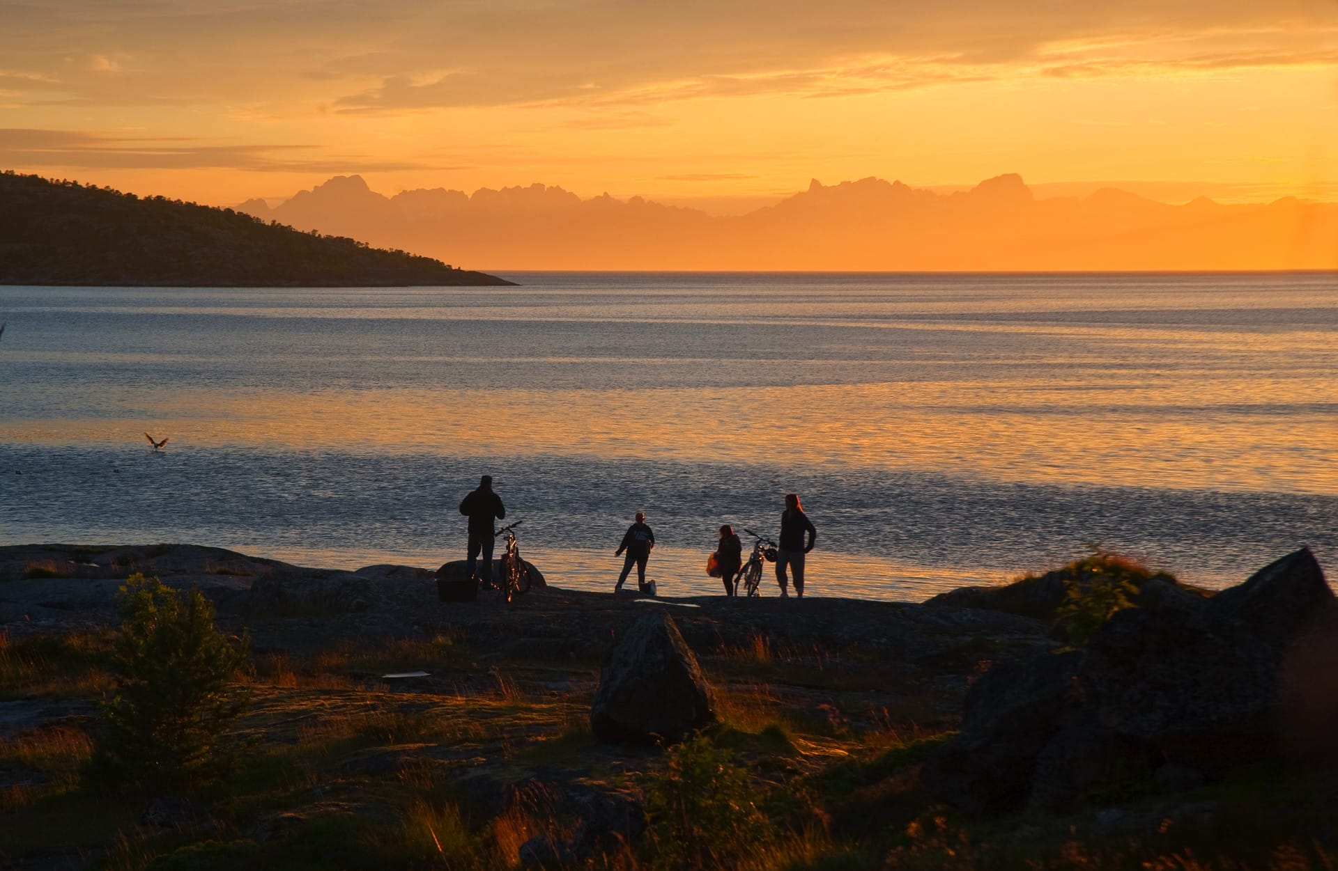 Foto: Kjell Fredriksen_www.hamsuns-rike.no_Hamaroey-nordnorge.com